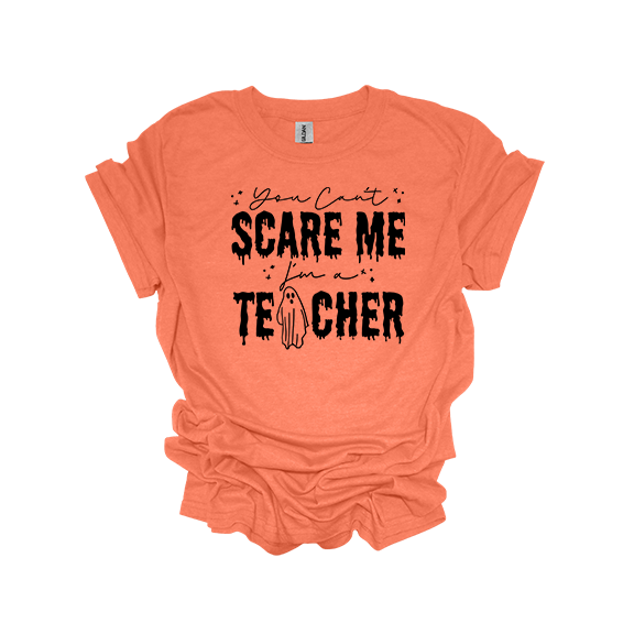 YOU CANT SCARE ME, IM A TEACHER